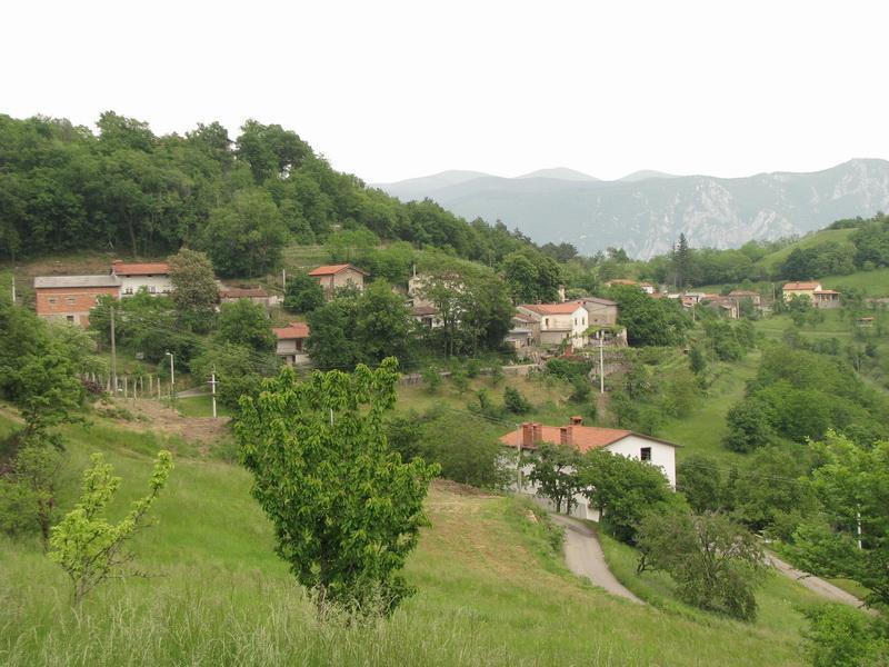 17.JPG